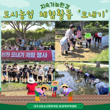 5월 주말체험활동 - 지속가능환경 「도시농업 체험활동」