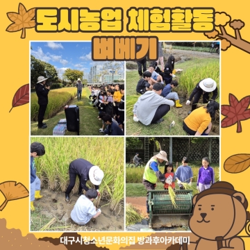 11월 주말체험활동 - 지속가능환경 「도시농업 체험활동」